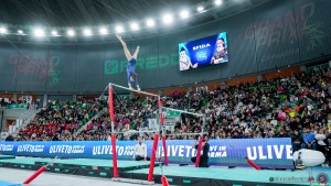 grand prix della ginnastica 0370 sfe06610 copia simone ferraro ph